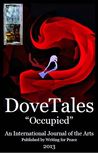 2013 Occupied, eBook