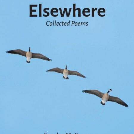 Cover of Here and Elsewhere by Sandra McGarry. Three gees flying against a clear blue sky. Photo Credit: Pat Slentz